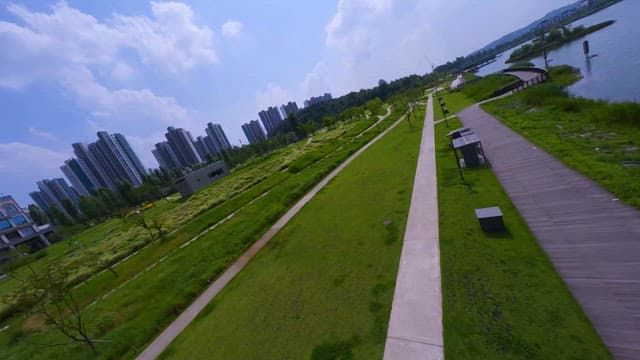 City Park by the Lake on Sunny Day