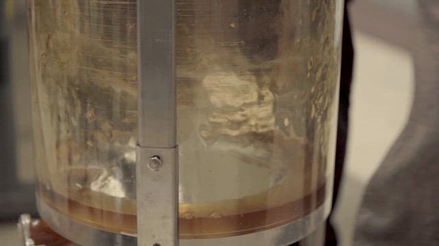 Honey Being Squeezed by a Peeler