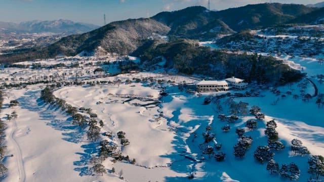 Snow-covered landscape with pine trees and building
