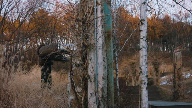 Secluded Winter Park with Bare Trees