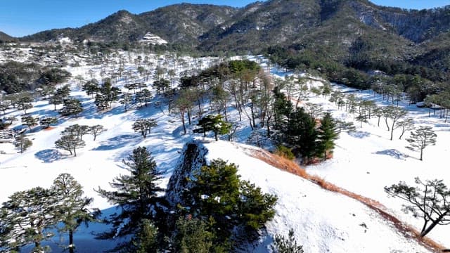 Snow-covered Landscape with Mountains and Trees