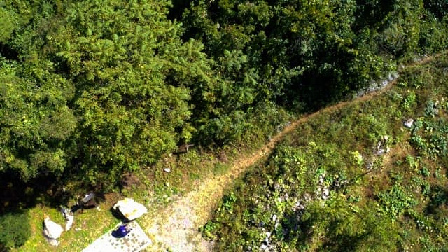 Narrow road between sunny green fields