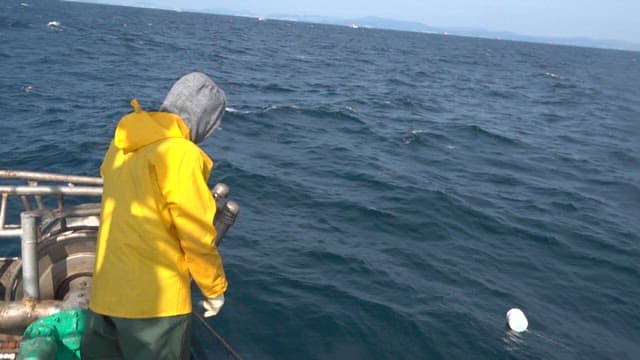 Fisherman checking nets on a fishing boat at sea
