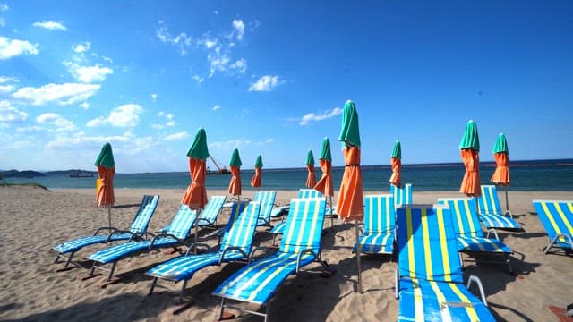 Empty beach with lounge chairs and umbrellas
