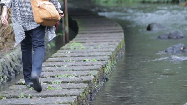 Person Walking on a Stone Path by the River