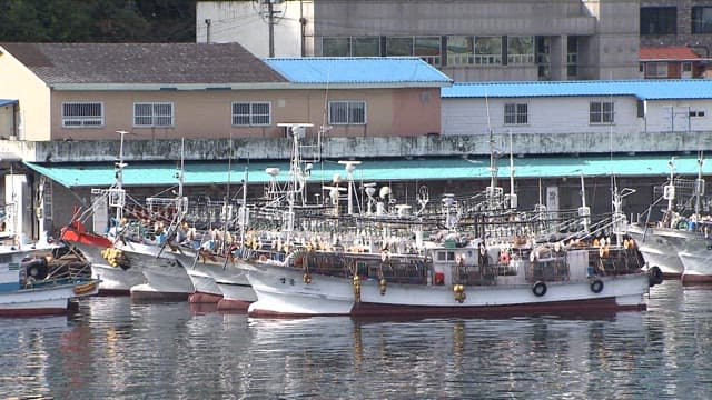 Fishing Boats Docked at a Coastal Harbor