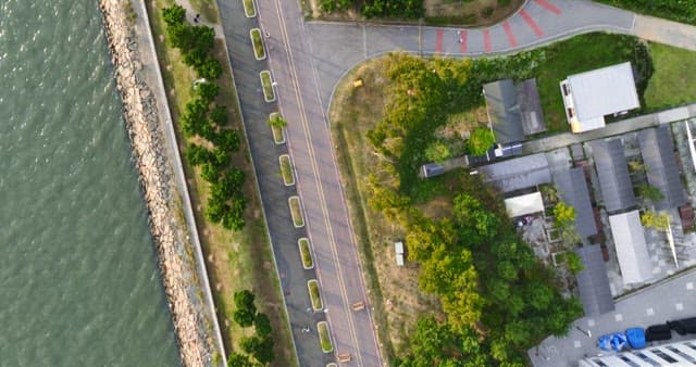 Coastal road and greenery by the sea