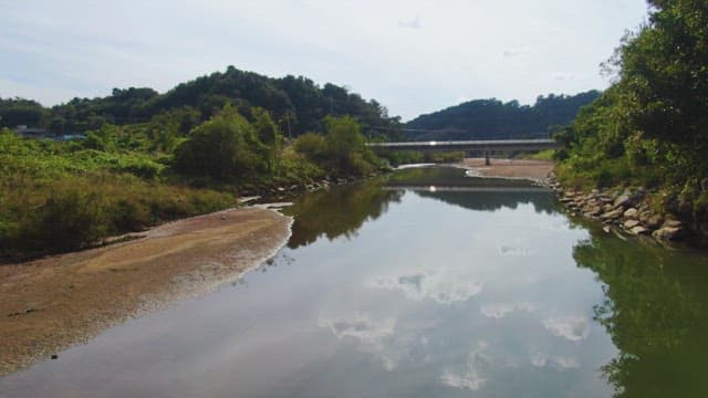 Calm river with a bridge in the distance