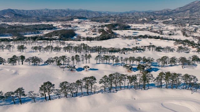 Snow-covered Landscape with Trees and Mountains