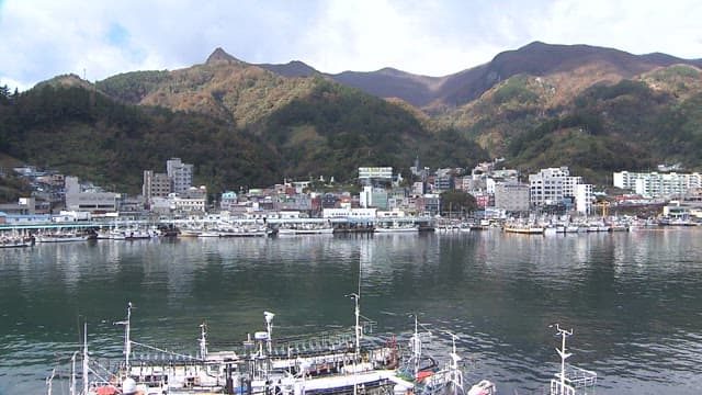 Coastal town with moored boats and mountain backdrop