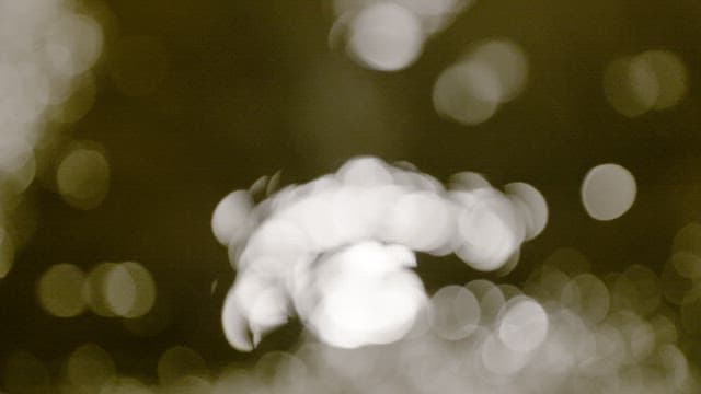 Rain puddle reflecting streetlights at dark night