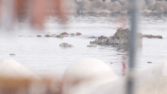Fish drying on the rack near the waterfront