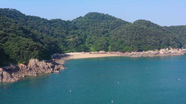 Peaceful seaside beach surrounded by lush forests