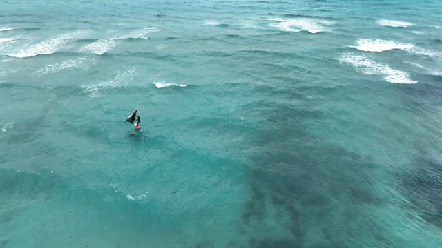 Person windsurfing on the ocean