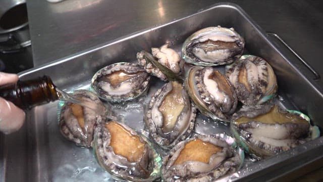 Fresh abalone ready for cleaning