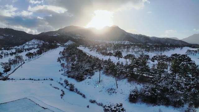 Winter Mountains with Snowy Tree Landscape