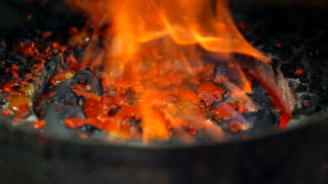 Grilled webfoot octopus grilled on the grill