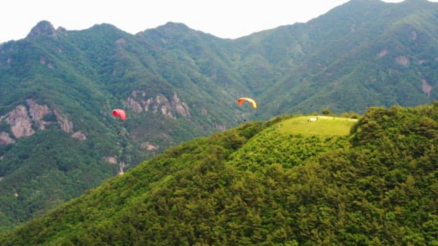 Paragliders Soaring Over Lush Green Mountains