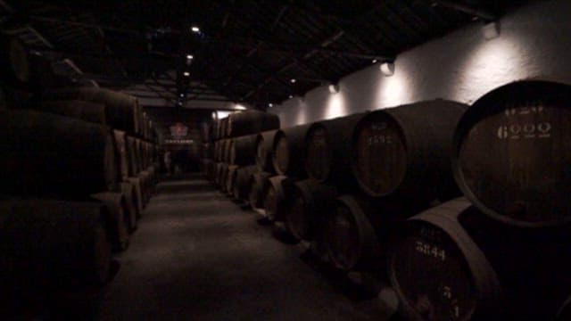 Large Wooden Barrels in a Fdimly Lit Storage Room