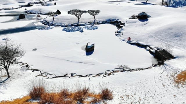 Snowy Landscape with Ponds and Trees