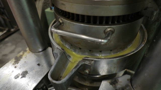 Yellow Oil Extracted from Hemp Seeds