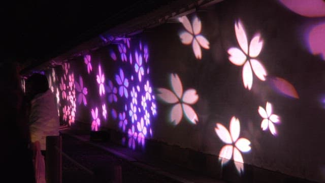 Evening light show with flower patterns projected onto a wall