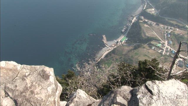 Aerial View of Coastal Landscape