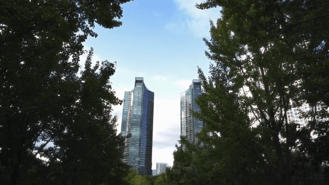 Tall buildings framed by lush green trees