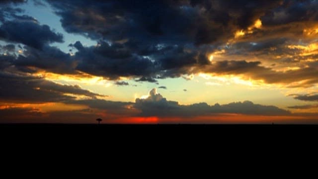 Serene Sunset Over the Savannah