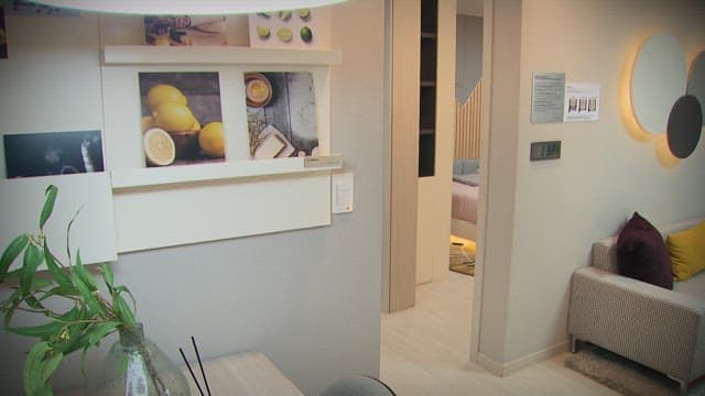 Modern living room with stylish decor and cozy ambiance