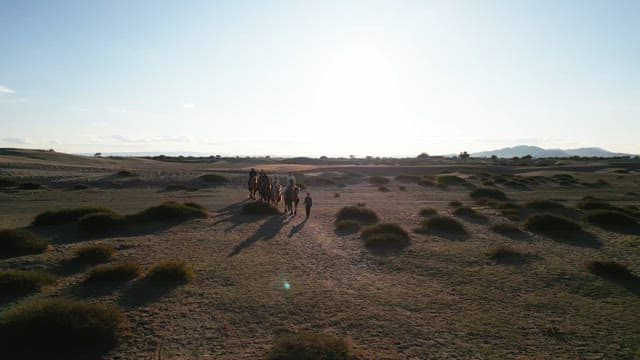 People riding camels in a vast desert