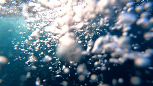 Sailfish swimming gracefully underwater