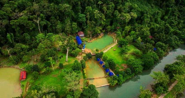 Serene Forest with Natural Pool