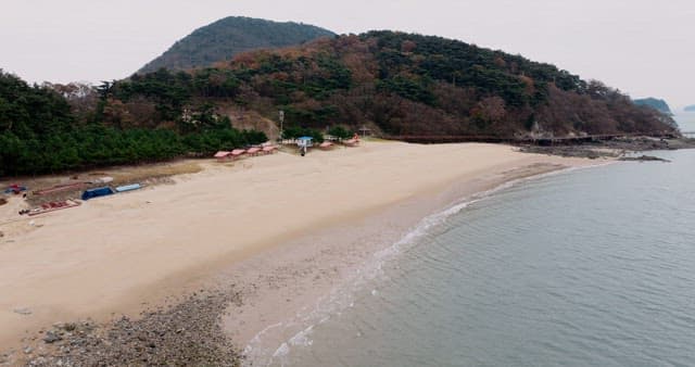 Secluded Beach with Forest and Mountains