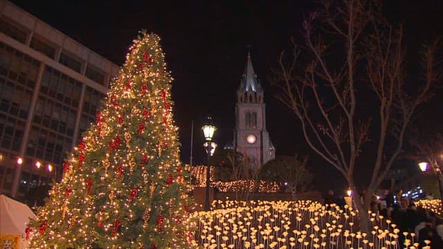 Illuminated Christmas Tree and Cathedral at Night