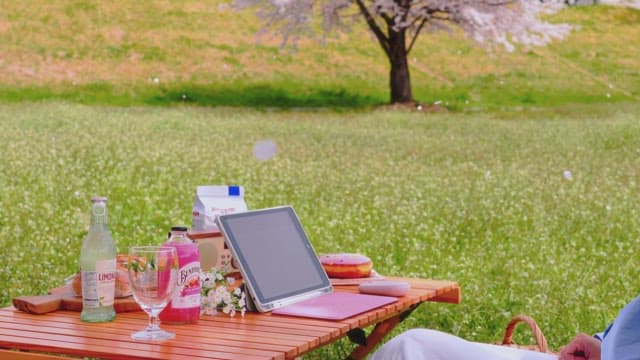 Woman Enjoying Picnic Surrounded by Cherry Blossoms