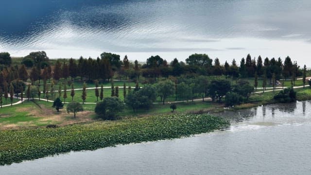Serene lakeside park with lush greenery