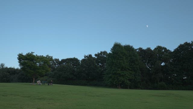 Peaceful Evening in a Serene Park