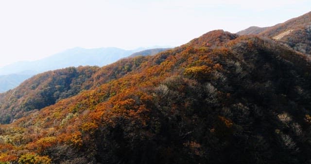 Autumn Foliage Covering Mountain Landscape