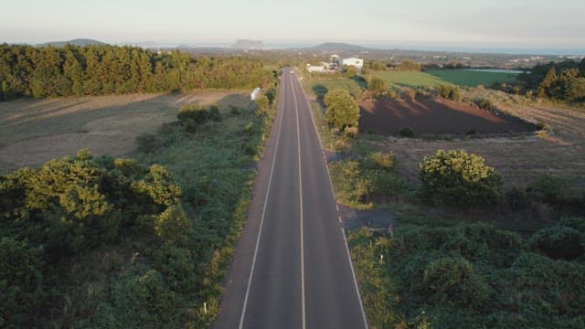 Long road through lush green fields