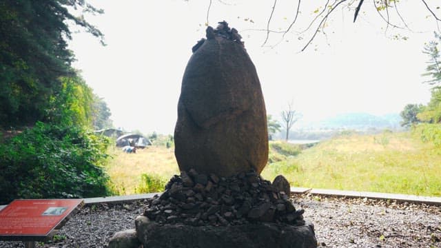 Lush trees and greenery surrounding the stone tower