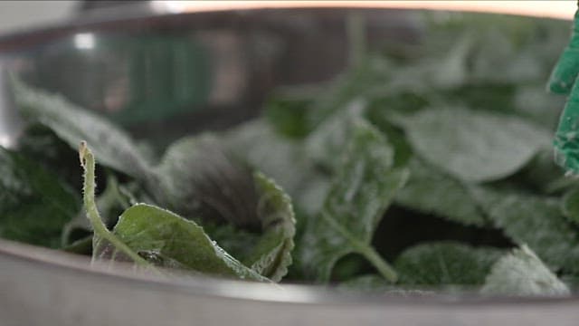 Sprinkling flour on perilla leaves in a metal bowl