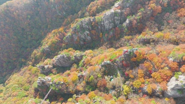 Colorful autumn foliage on rocky mountains