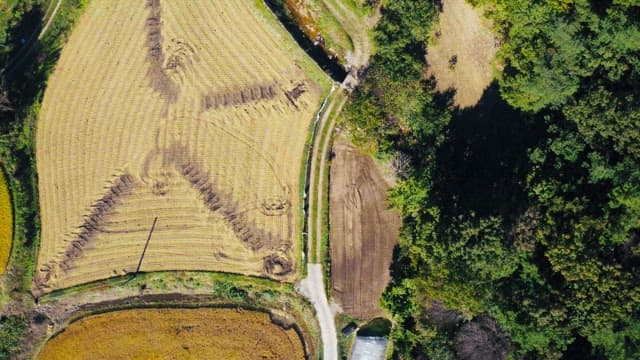 Rural landscape with fields and greenhouses