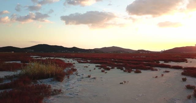 Sunset over a vast red field with mountains