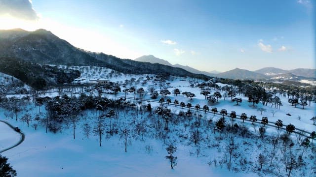 Snow-covered Landscape with Mountains and Trees
