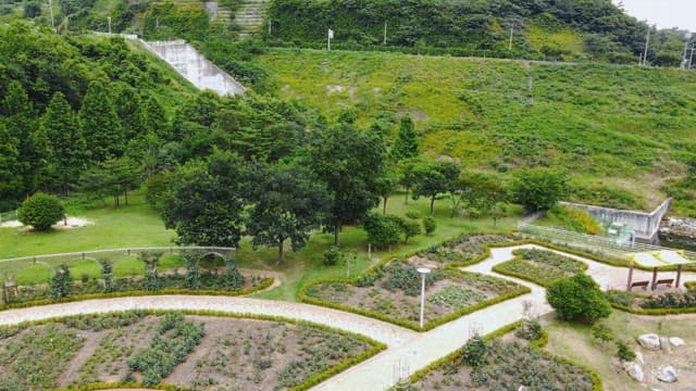 Lush green park with pathways and trees