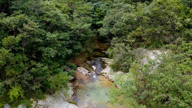 View of a waterfall in a lush forest