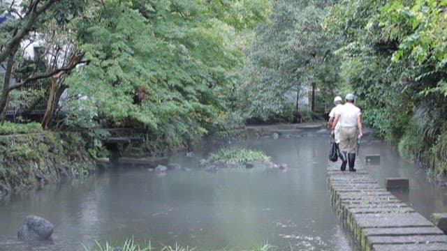 Peaceful Walk Along a Misty Riverside Path