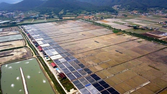 Large saltern in the countryside under clear sky